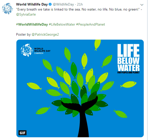 download - 2019-03-02T095258.717