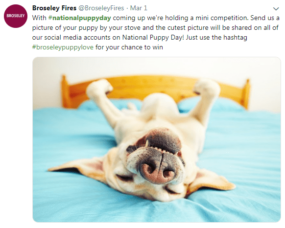 download - 2019-03-02T185652.543