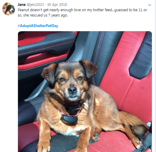 download - 2019-04-01T092141.065